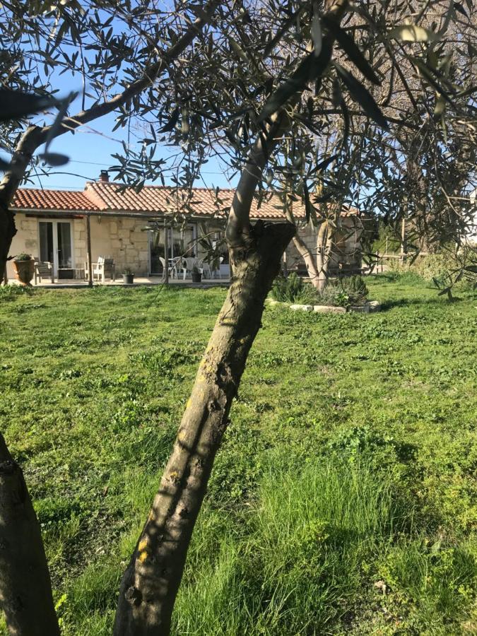 Mazet En Camargue Villa Arles Bagian luar foto
